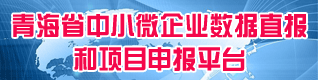青海省中小微企业数据直报和项目申报系统